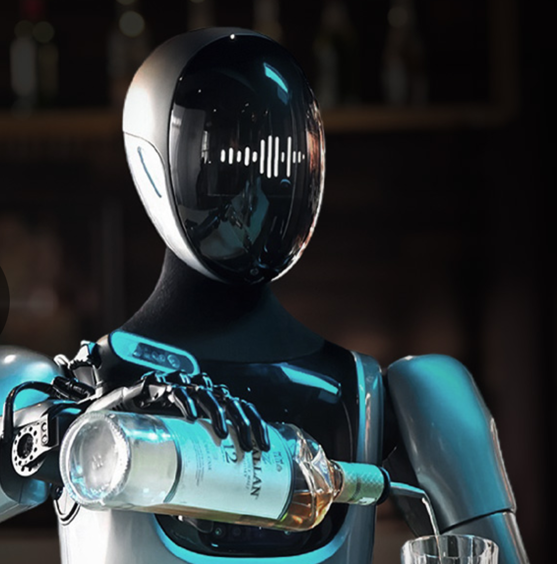 Service Robots