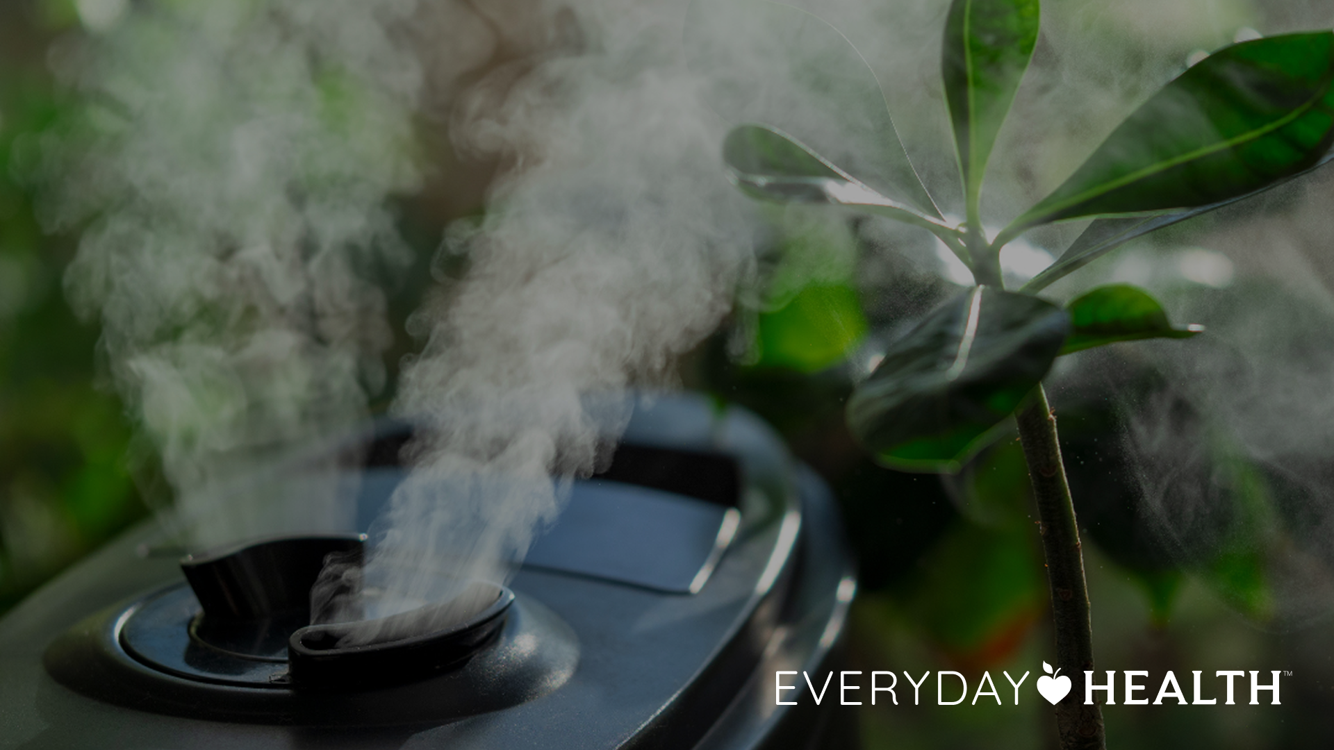 10 Best Humidifiers of 2025