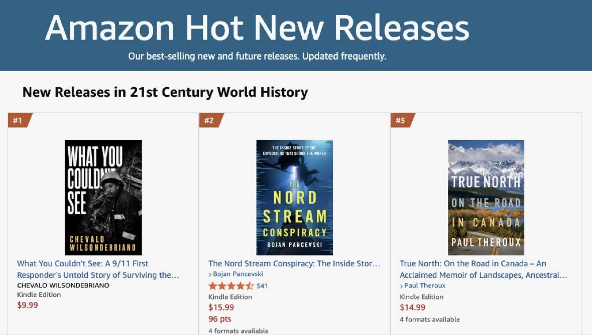 What You Couldn't See at number 1 in Amazon Hot New Releases, 21st Century World History