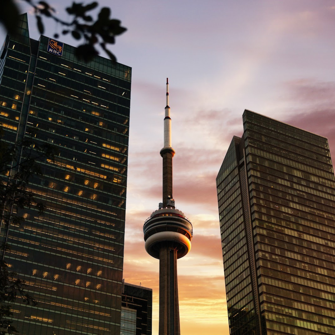 The Royal Ontario Museum