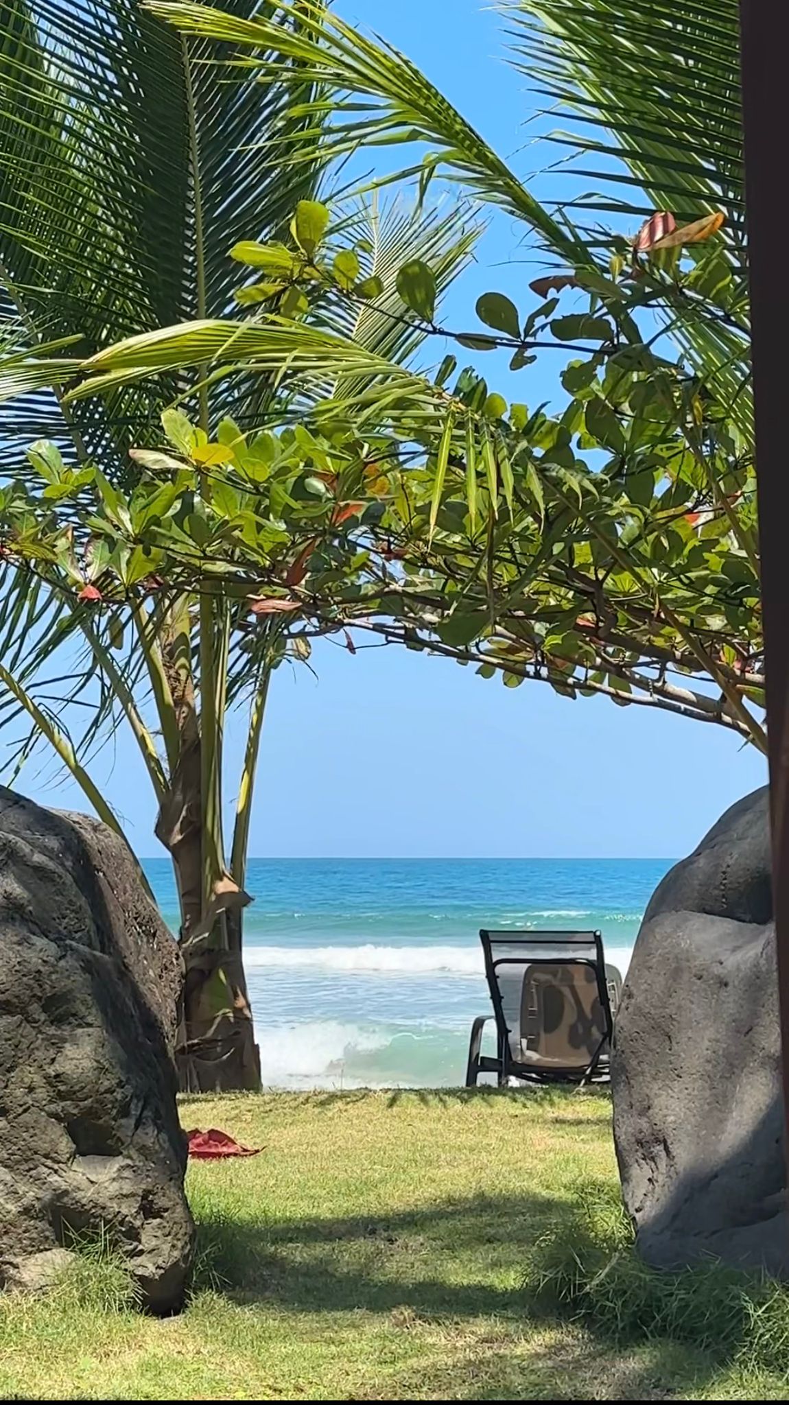 A single beach chair framed by palm fronds and volcanic rocks facing the turquoise Caribbean ocean — taken at a partner property in Puerto Viejo