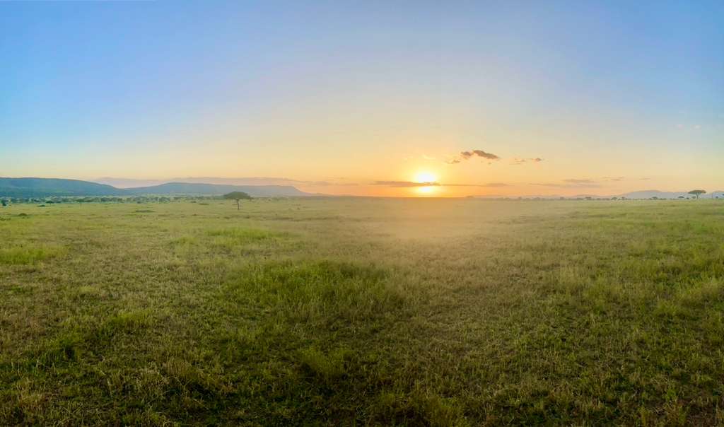 Serengeti sunrise Tanzania — Storied Travel Serengeti sunrise Tanzania — Storied Travel