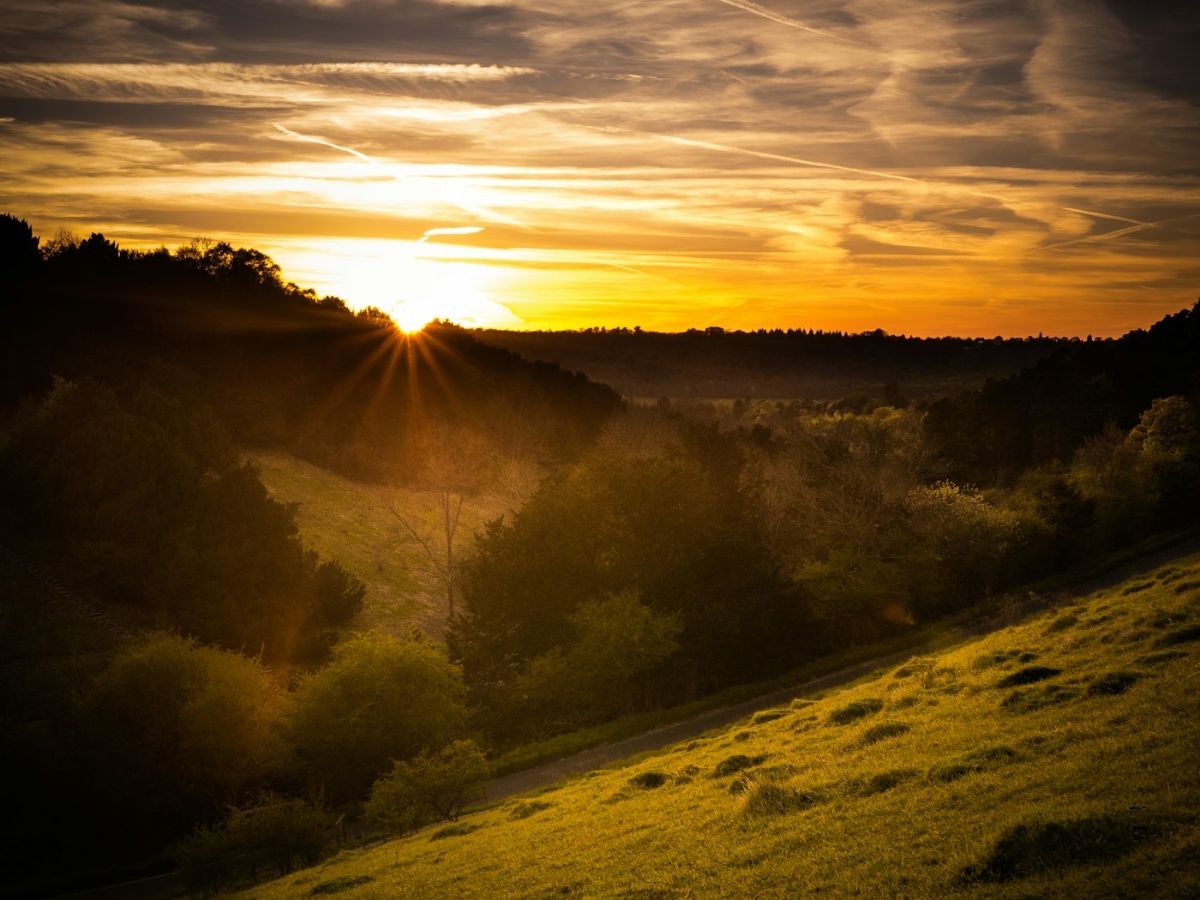 Box Hill, Surrey