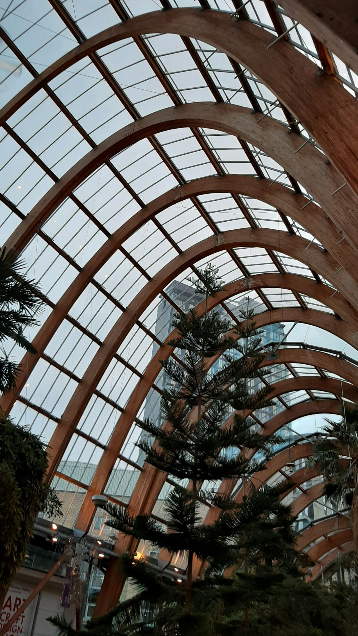 Sheffield Winter Garden