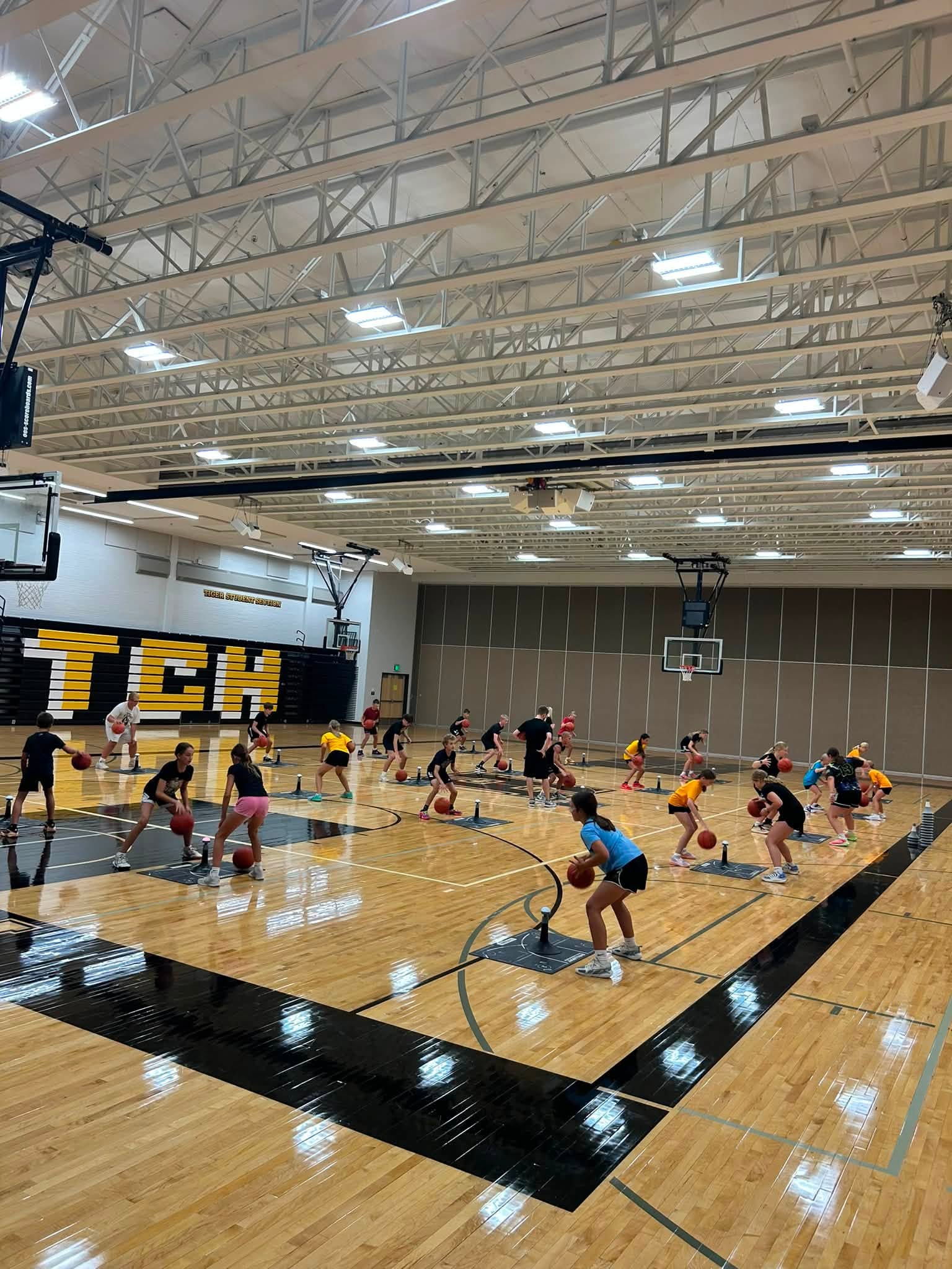 Hested Hoops Complete Player high-intensity basketball training in Mankato, MN
