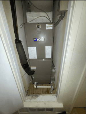 {{ custom_values.service_2 }} in {{custom_values.area_7})