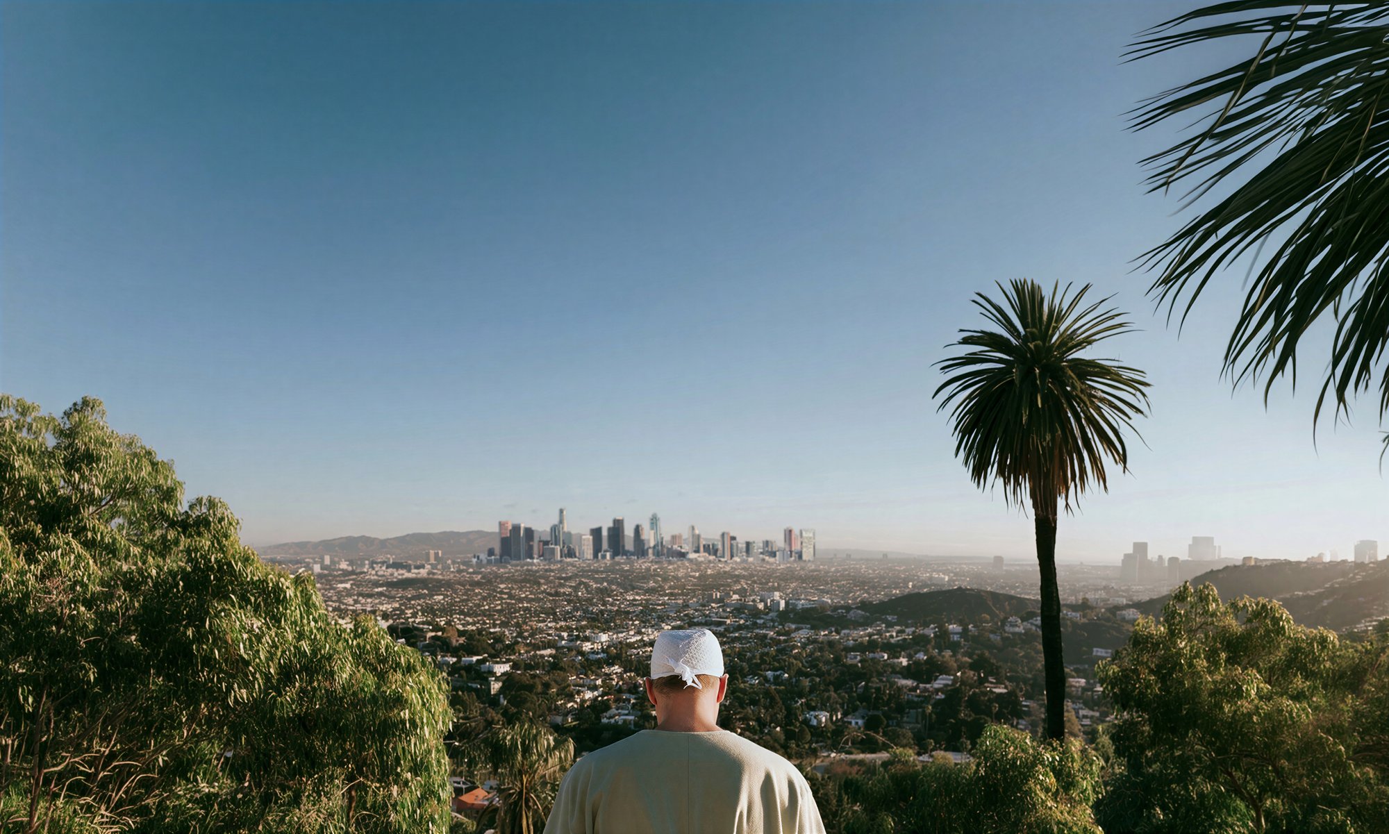A surgeon looking toward the Los Angeles skyline through California palms