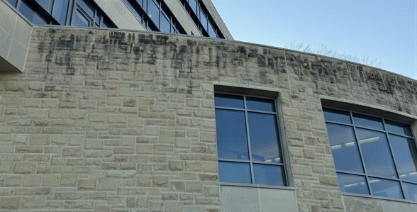 Before facade cleaning by WindowClean by Vertex showing mildew and streaks on commercial building exterior