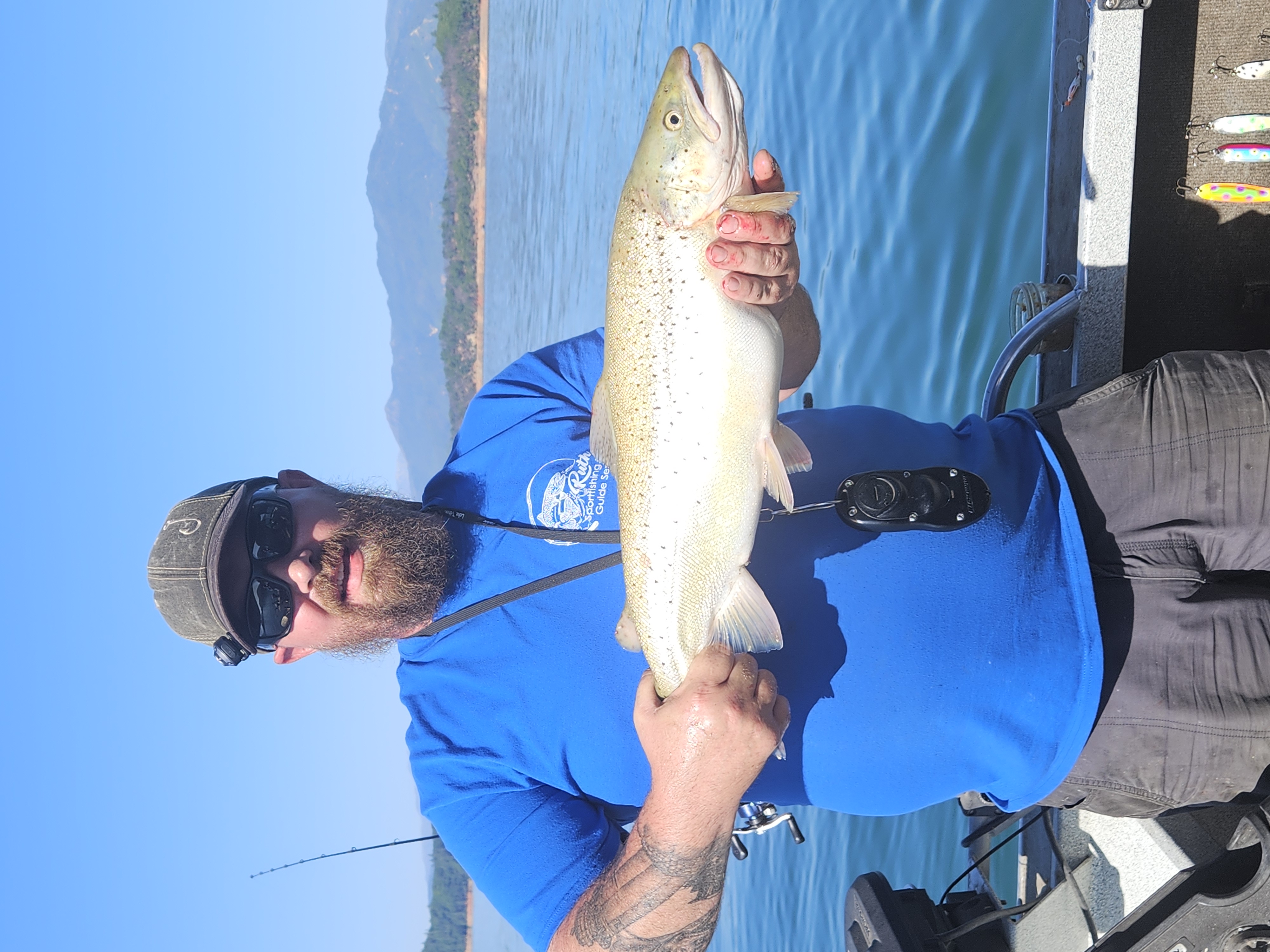 Lake Shasta