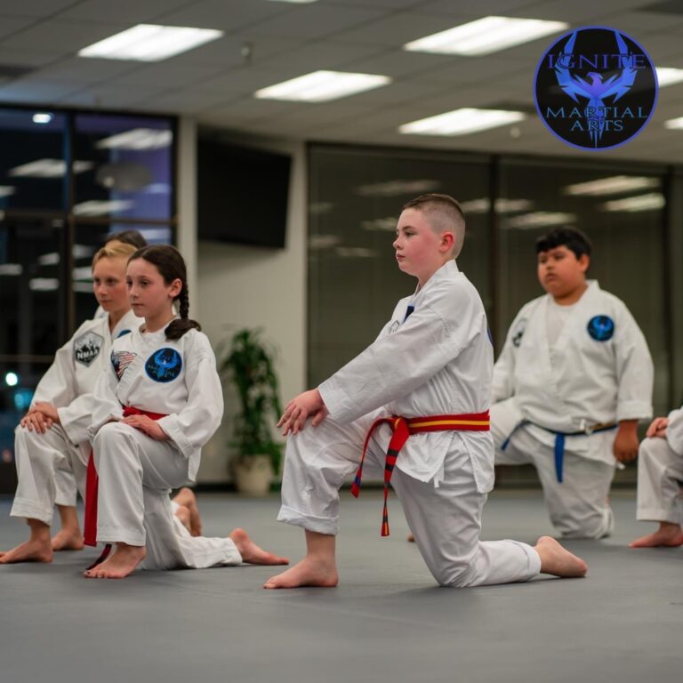 Martial arts mentors