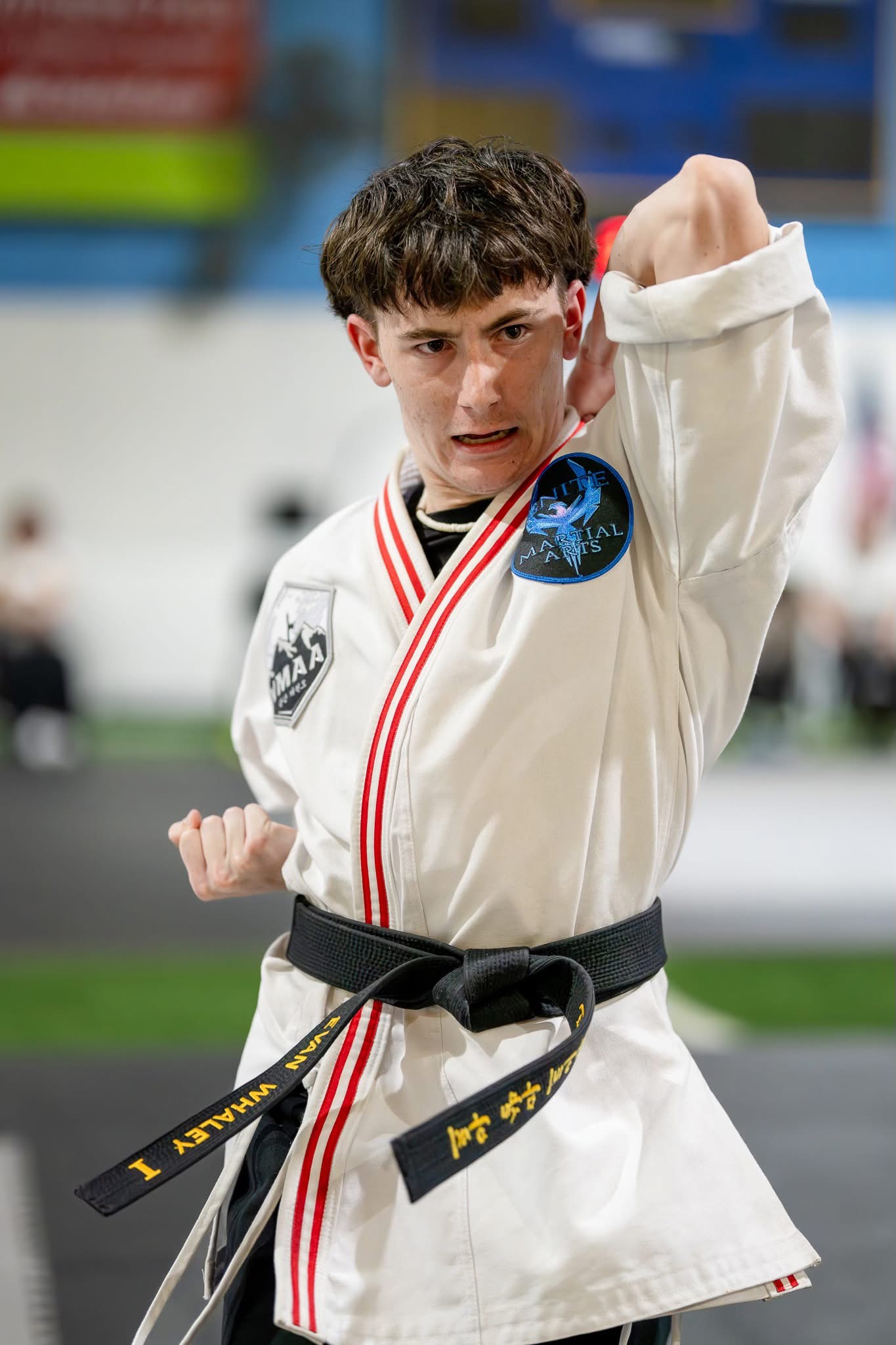 Martial arts training
