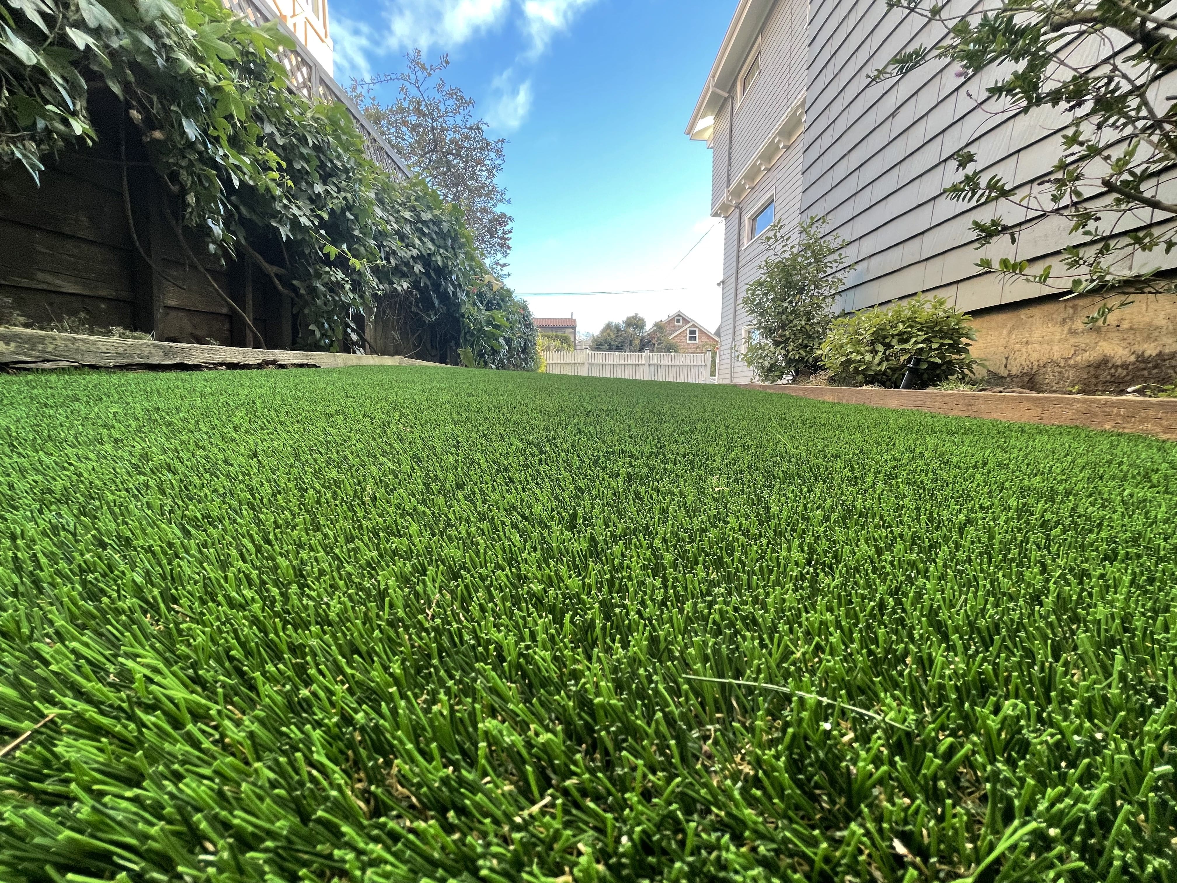 Turf Installation in San Francisco