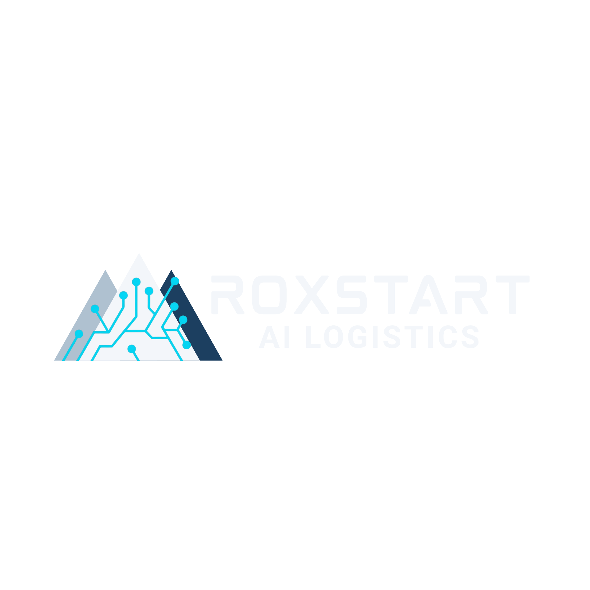 RoxStart AI Logistics