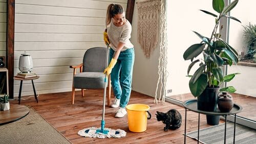 Pet-Friendly Cleaning in Maui