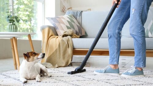 Maui Airbnb & VRBO Cleaning