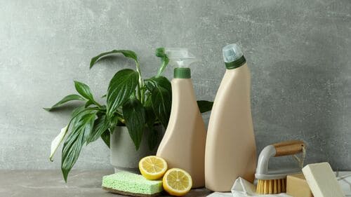 Maui Green Eco-Friendly Cleaning
