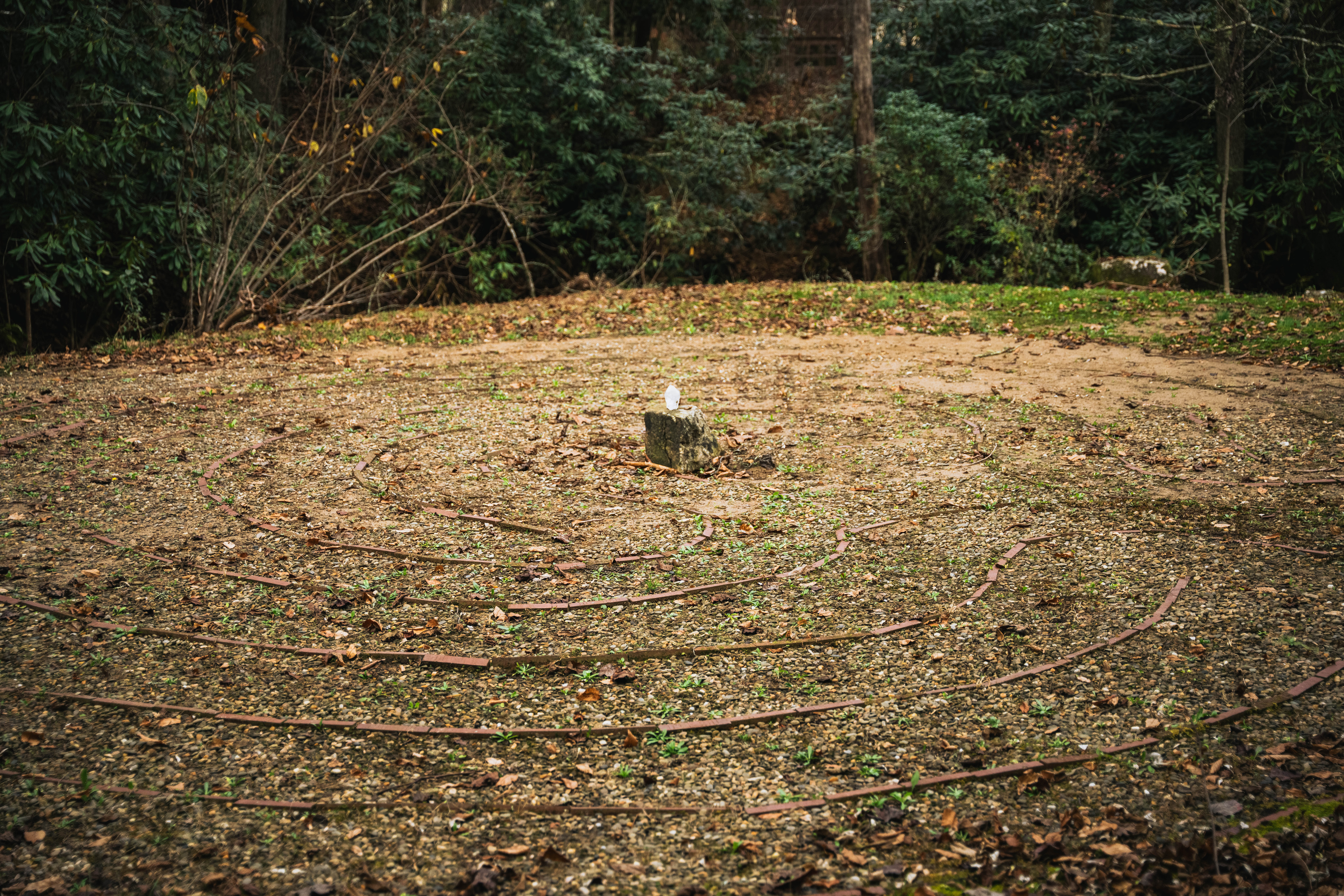 The Labyrinth — The Sanctuary at Fiddlehead