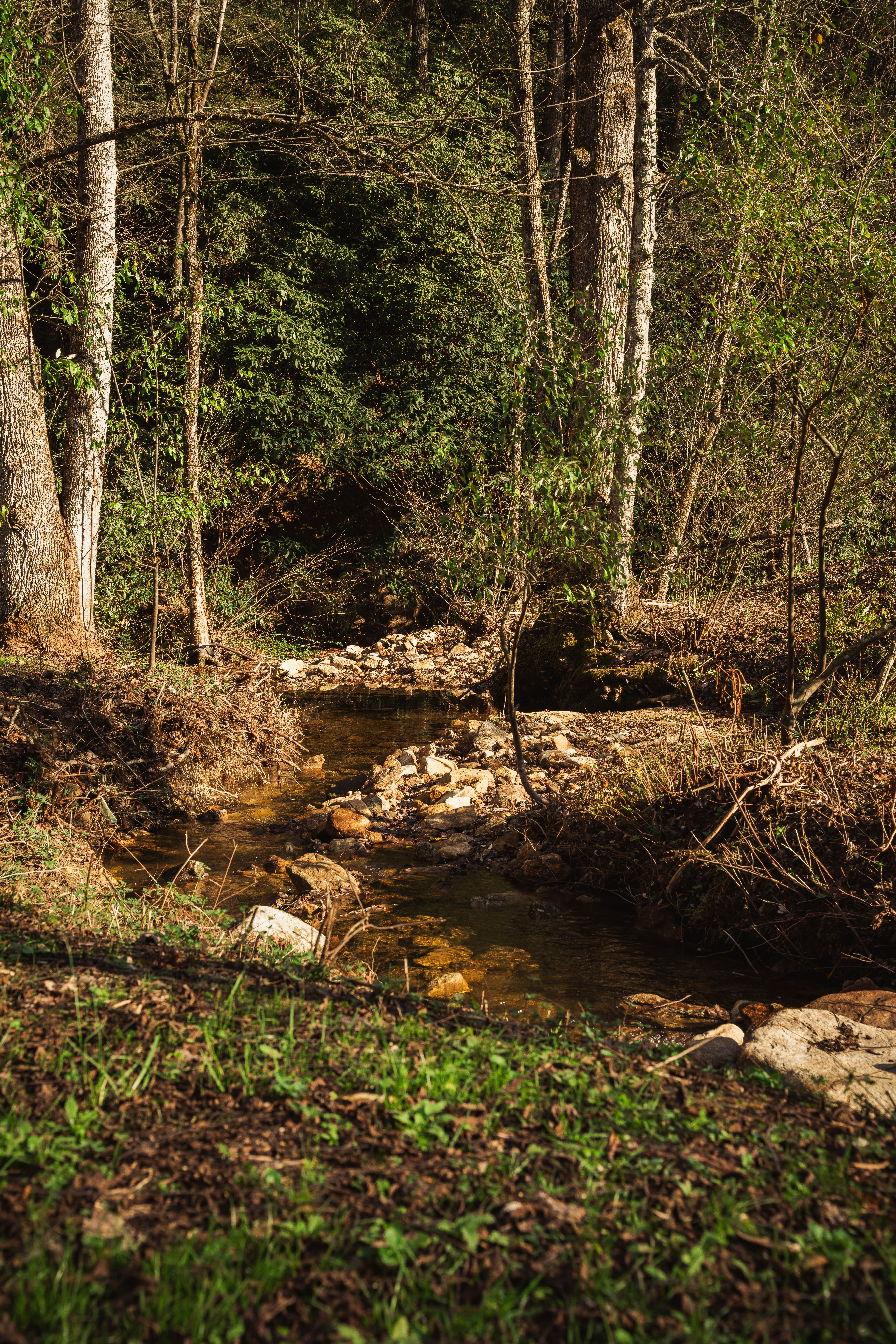 The Labyrinth — The Sanctuary at Fiddlehead