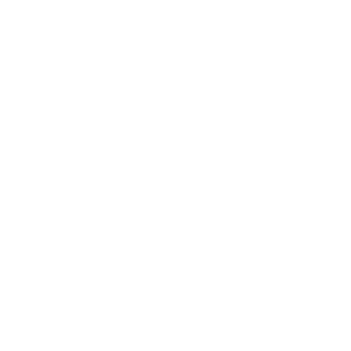 Electrical System Repair Icon