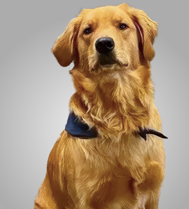duncan