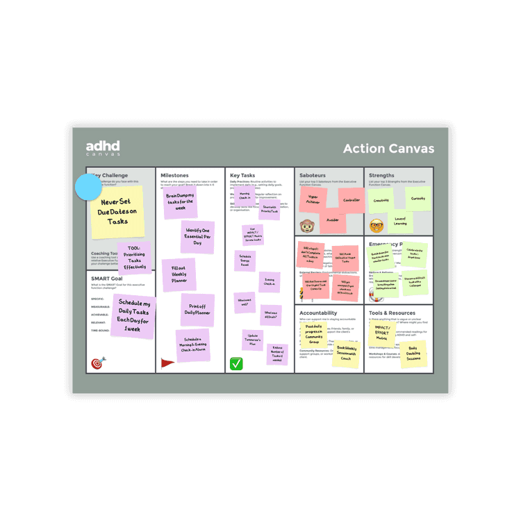The Action Canvas