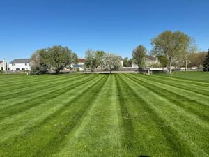 {{ custom_values.service_1 }} in {{custom_values.area_2})