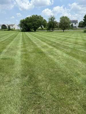 {{ custom_values.service_4 }} in {{custom_values.area_1})