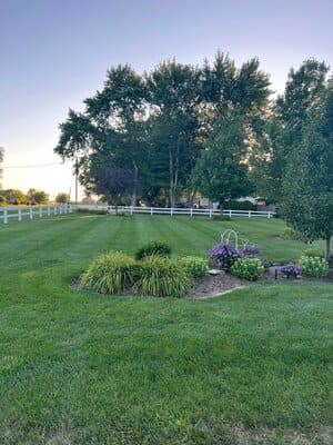 {{ custom_values.service_3 }} in {{custom_values.area_6})