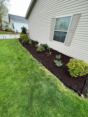 {{ custom_values.service_2 }} in {{custom_values.area_6})