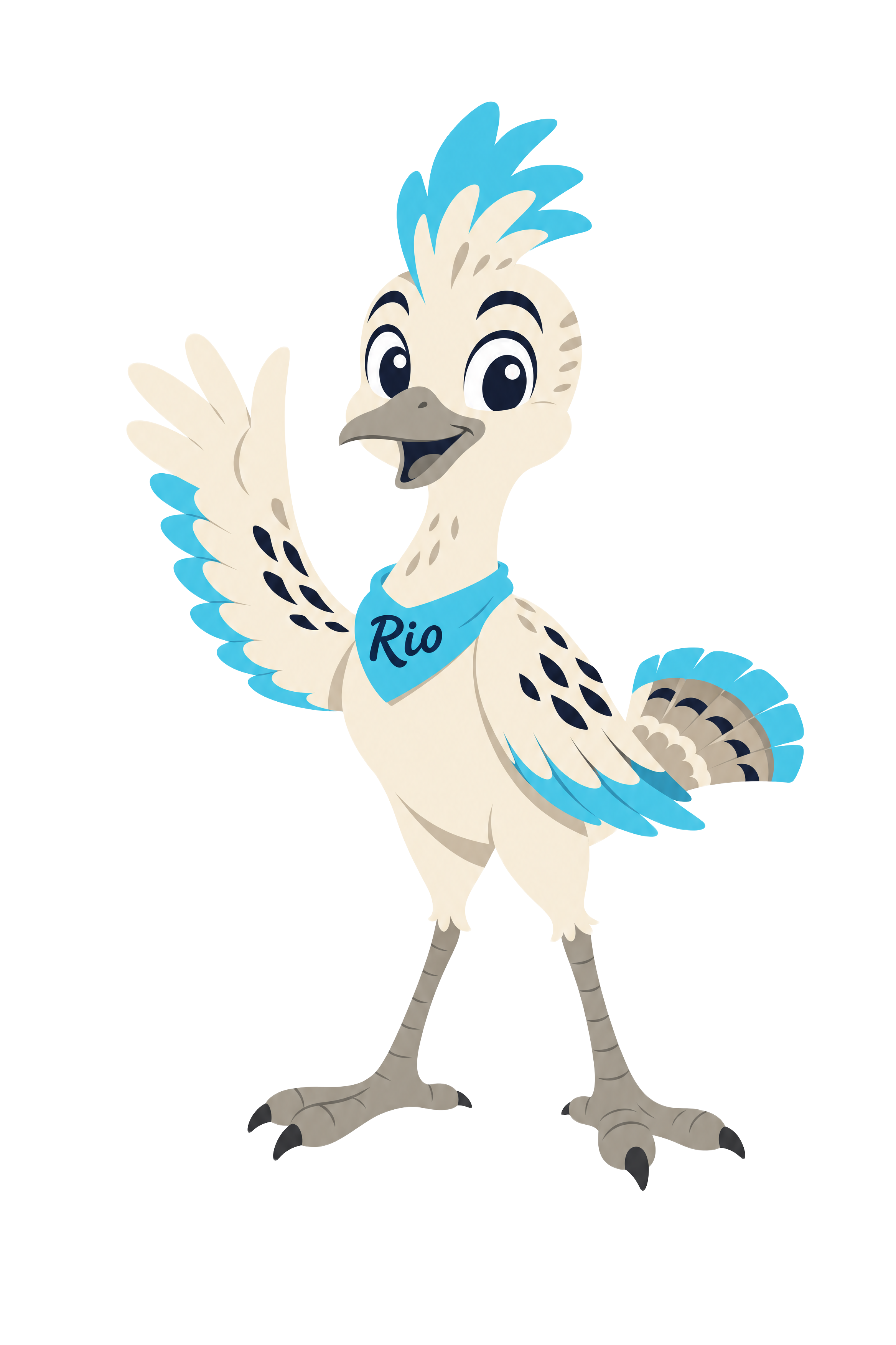 Rio, your detail guide