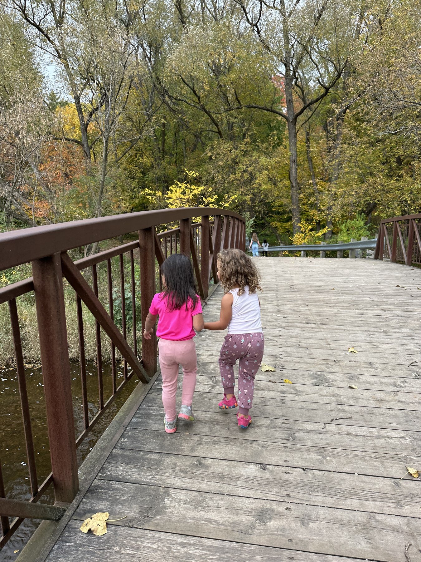 Two children walking hand in hand across a wooded footbridge, seen from behind.
