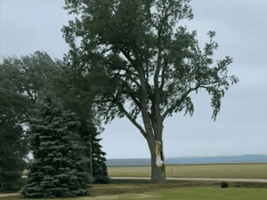 {{ custom_values.service_4 }} in {{custom_values.area_3})