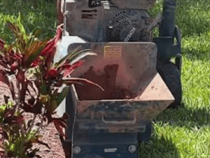 {{ custom_values.service_4 }} in {{custom_values.area_3})