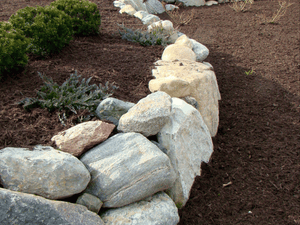 {{ custom_values.service_4 }} in {{custom_values.area_3})