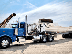 {{ custom_values.service_4 }} in {{custom_values.area_3})