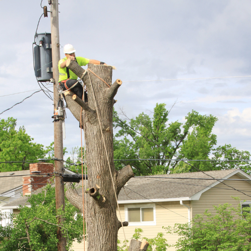 man cutting hazardous tree for people's safety