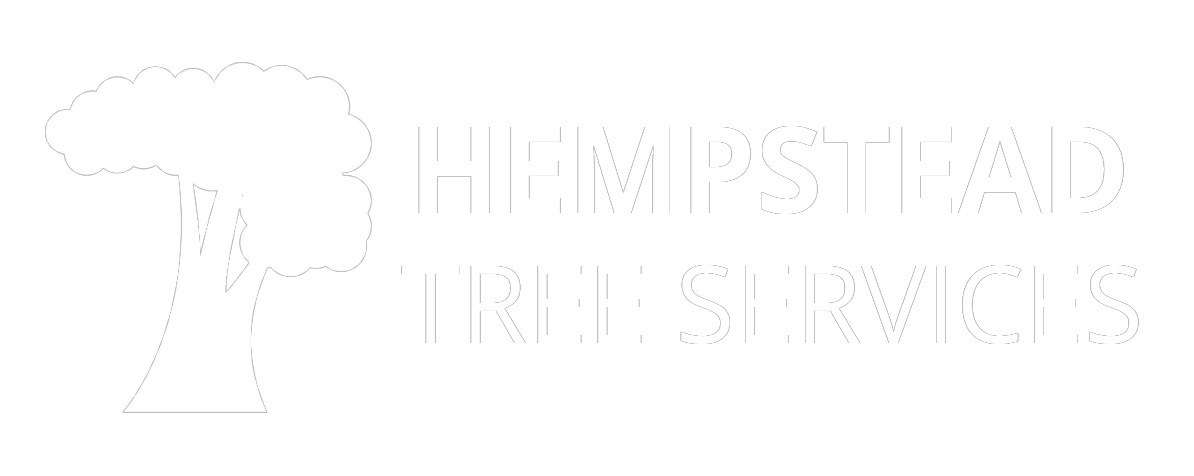 Hempstead Tree Services logo
