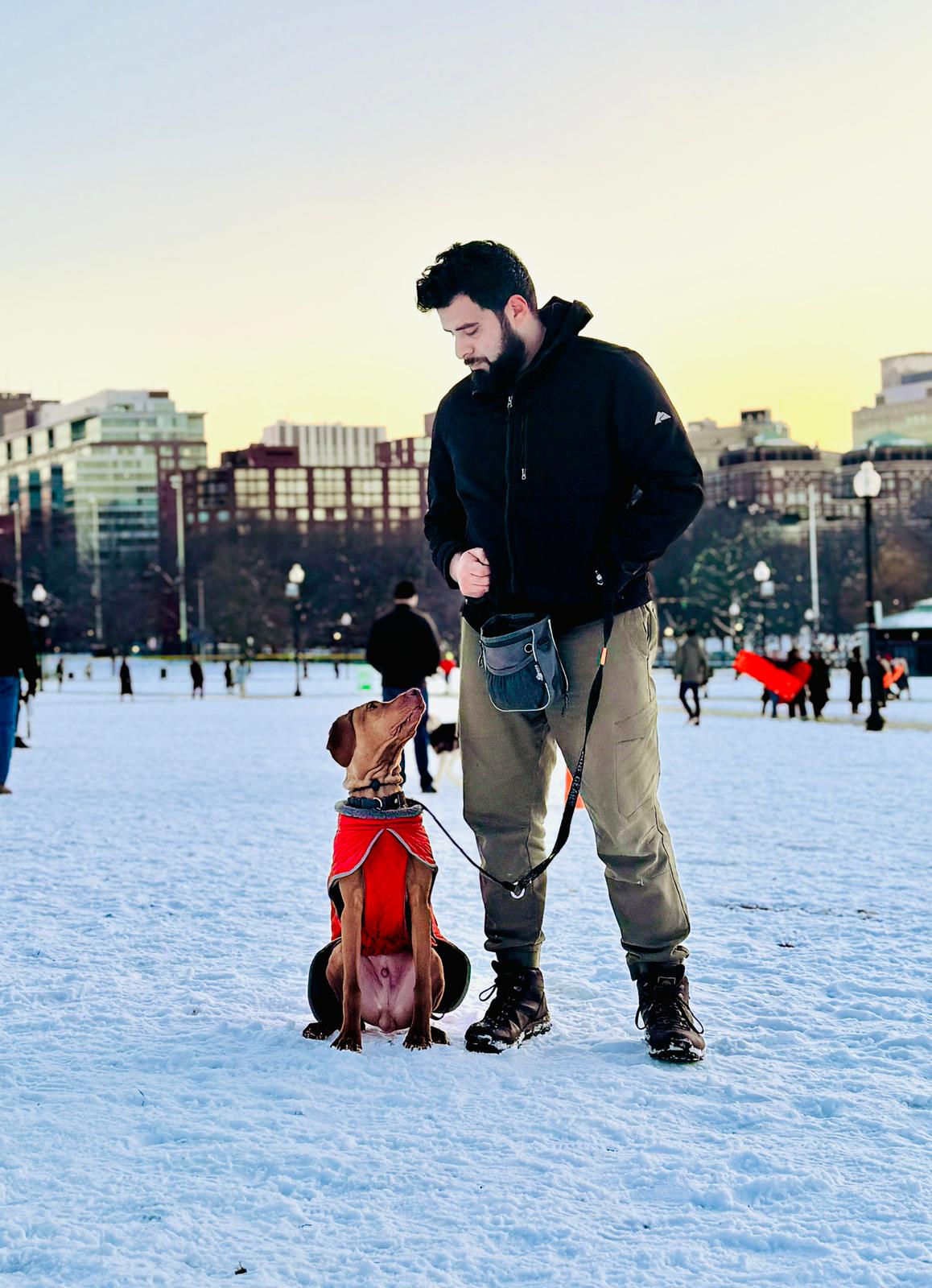 dog training Visla
