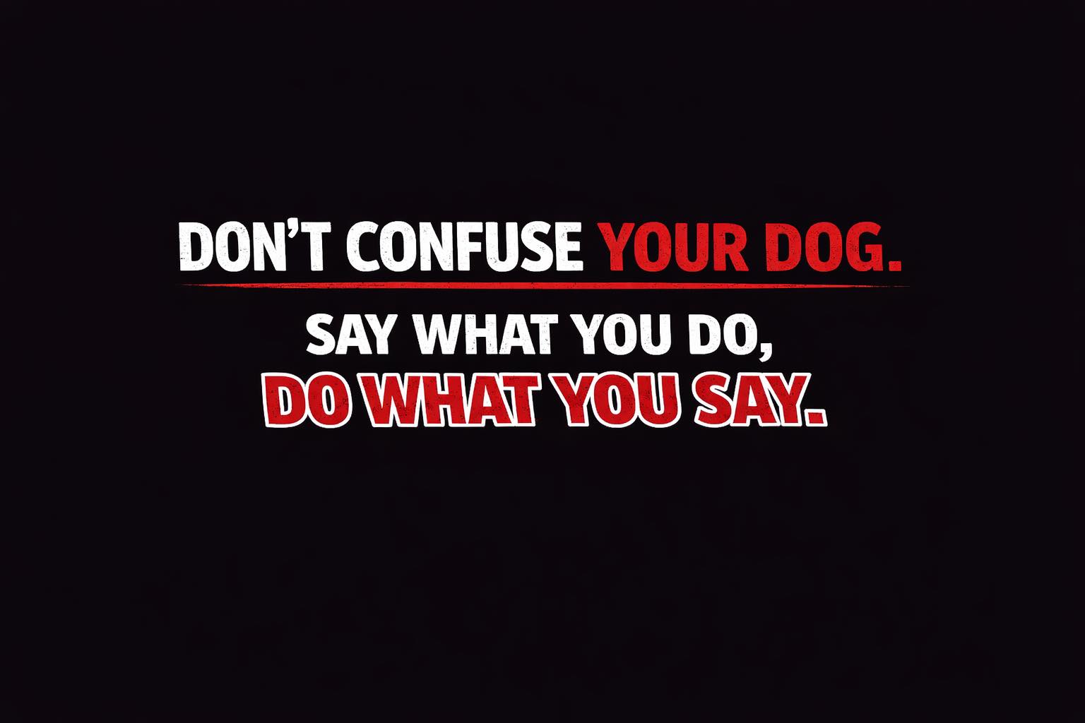 dog training showing clear communication using play or food without mixing behaviors