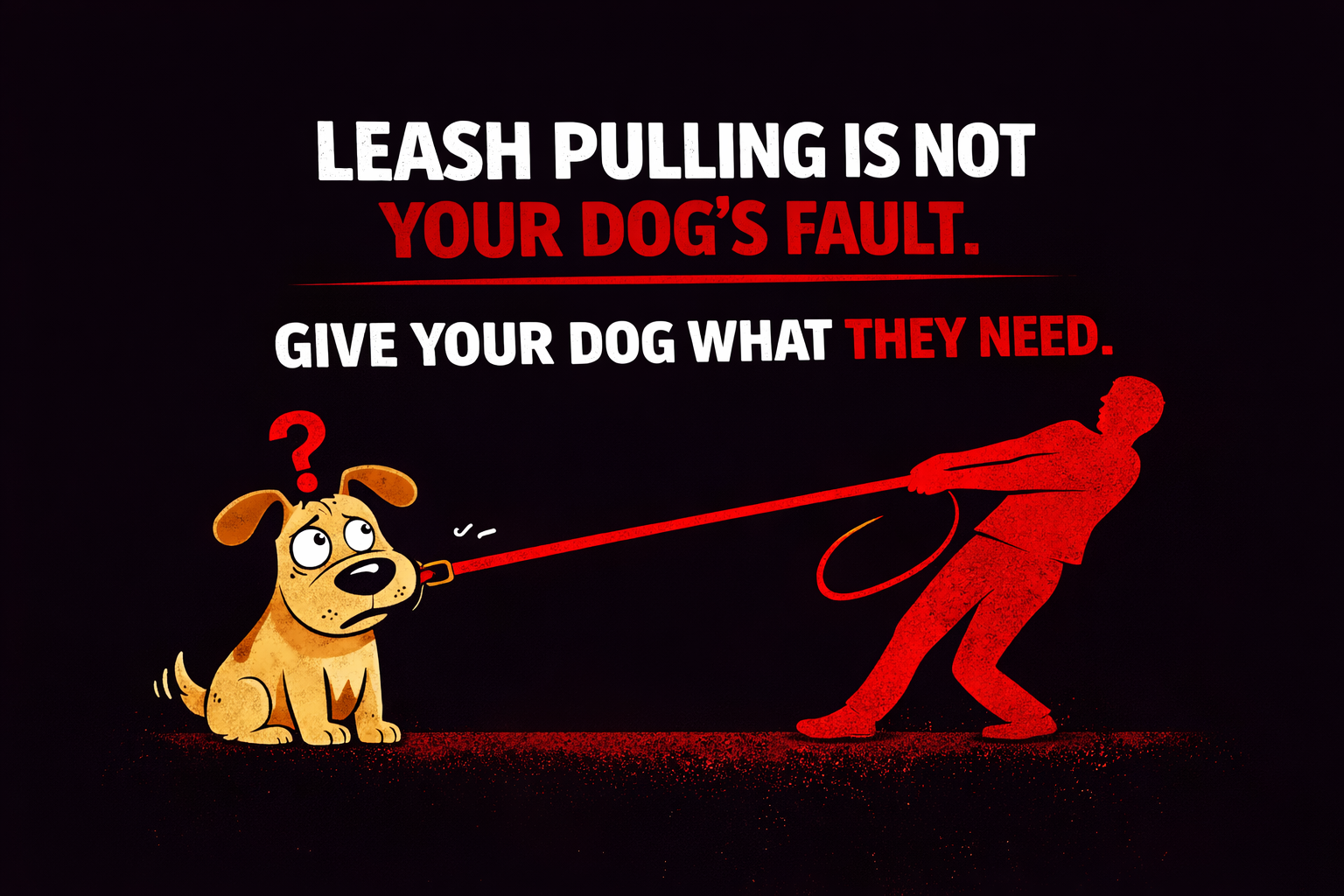 dog leash pulling training boston
