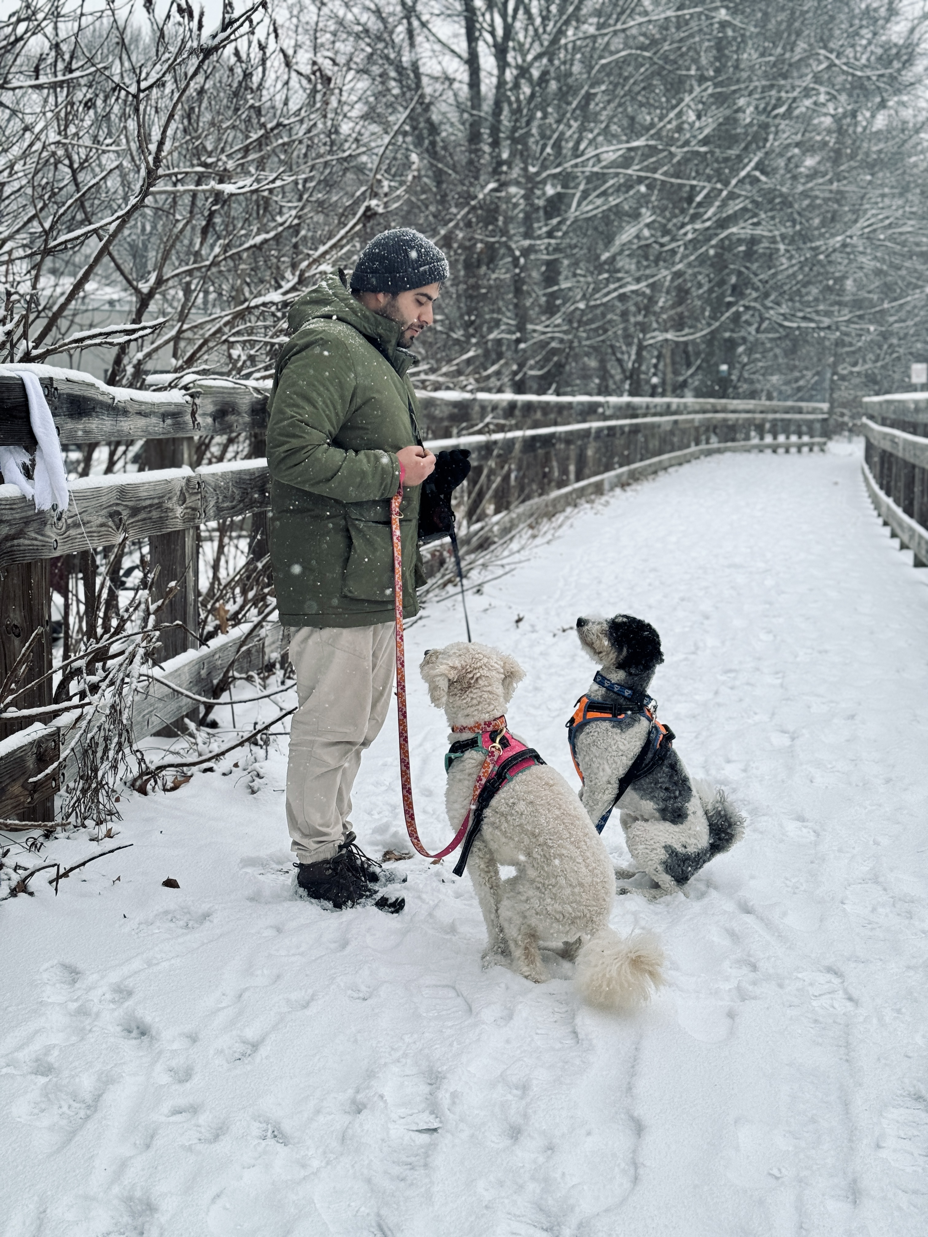 doodle training doodle training