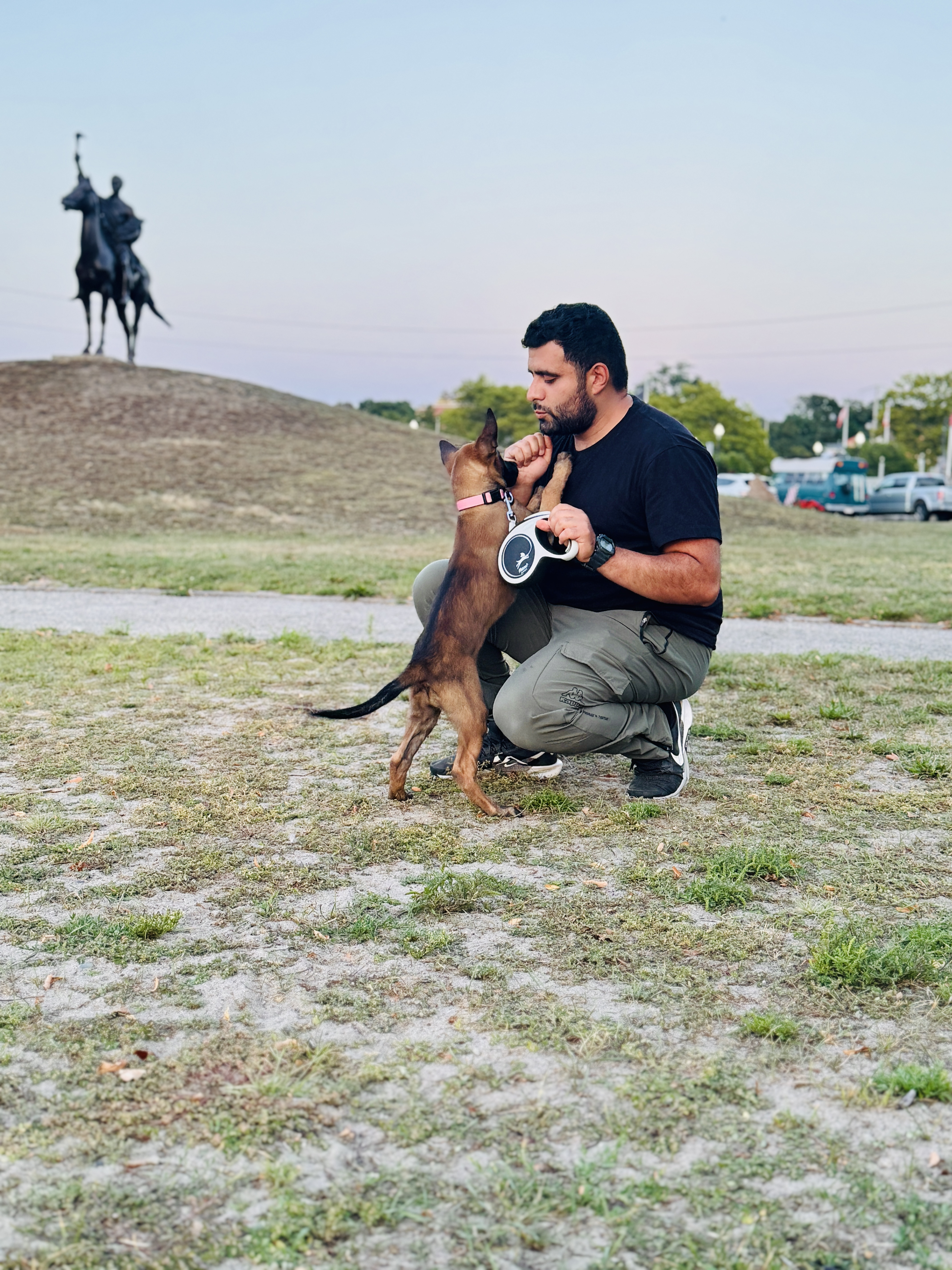 puppy training