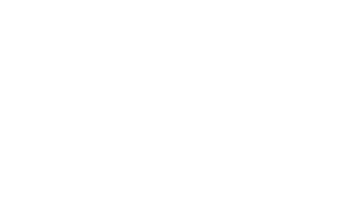 Software logo