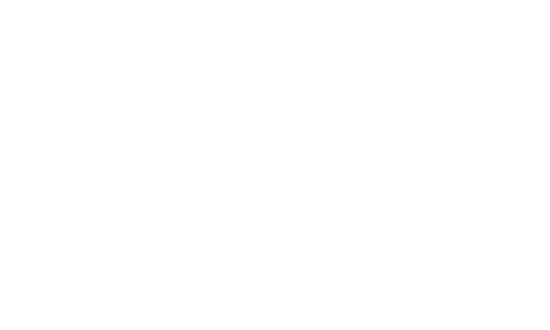 Software logo