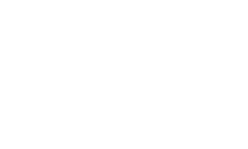 Software logo