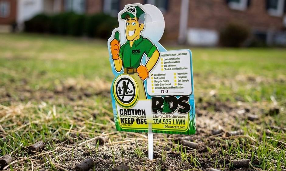 A freshly aerated and seeded lawn with soil plugs scattered across thin turf and an RDS Lawns service sign posted in it