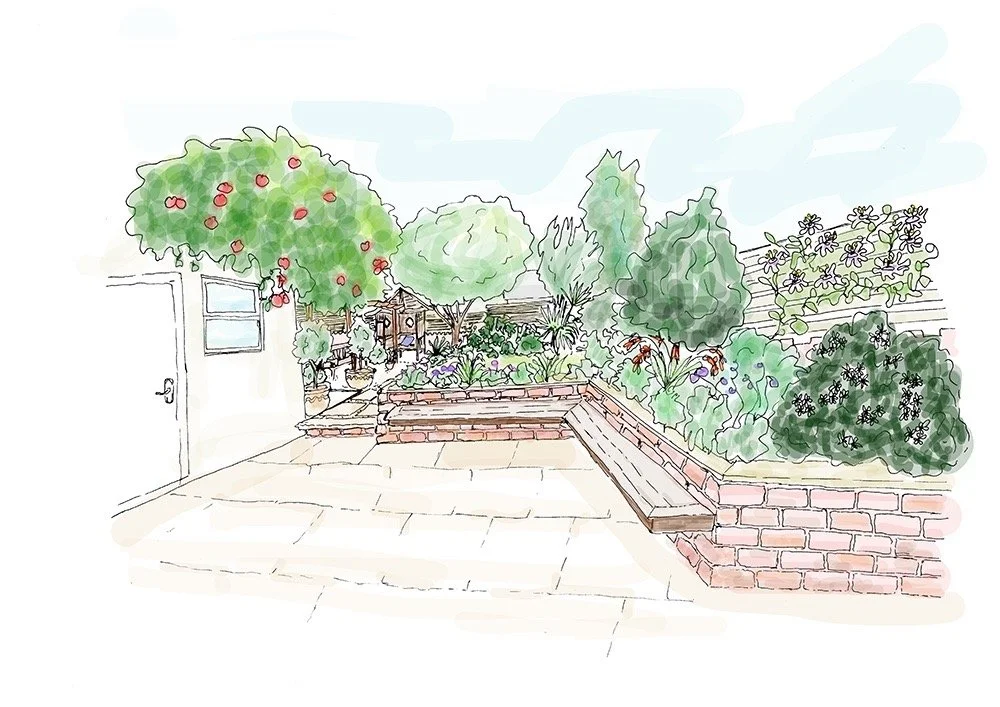 Garden concept design drawing Garden concept design drawing