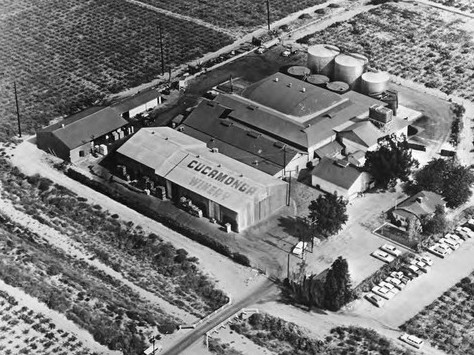 Historic winery image tied to Rancho Cucamonga’s early wine-making history