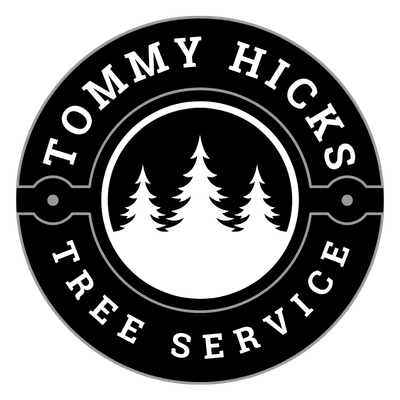 Tree Service in Holly Springs, NC