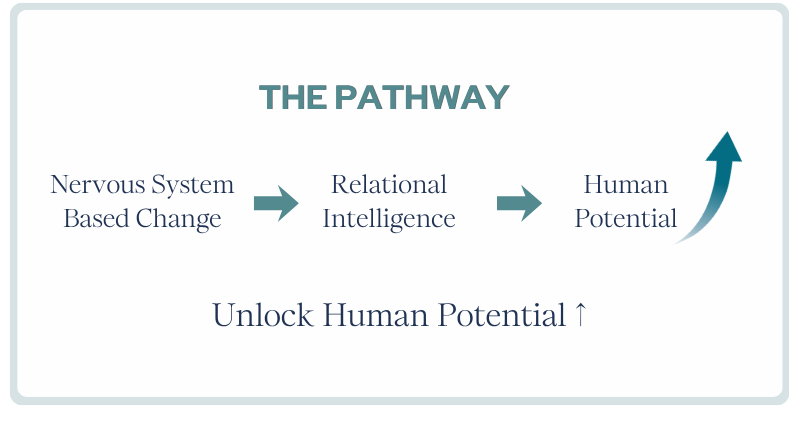 Framework showing the progression from nervous system-based change to relational intelligence and human potential